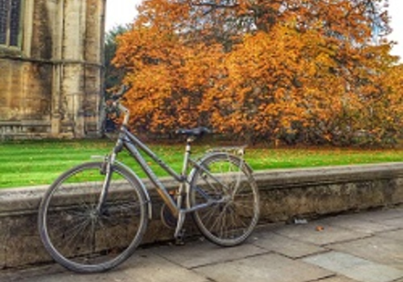 Bike for directions page 250